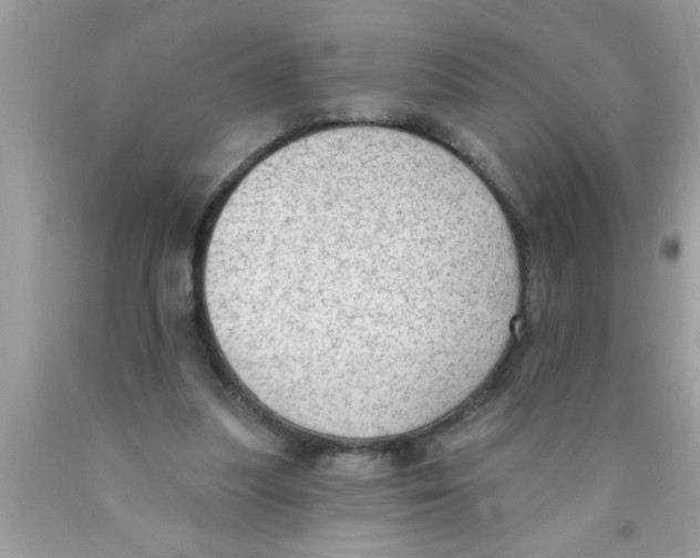 X0000089860251200707262134