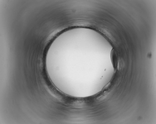 X0000089860252200707262134
