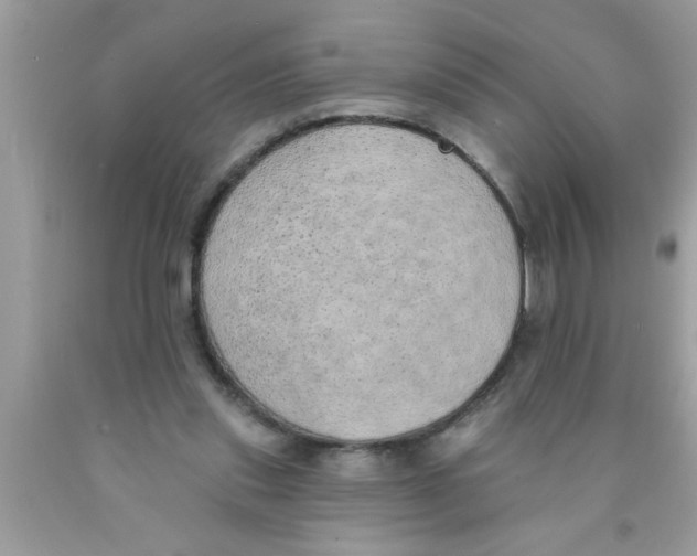X0000089860253200707262134