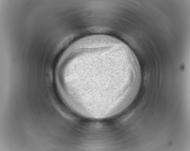 X0000089860254200707262134