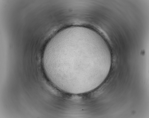 X0000089860257200707262134