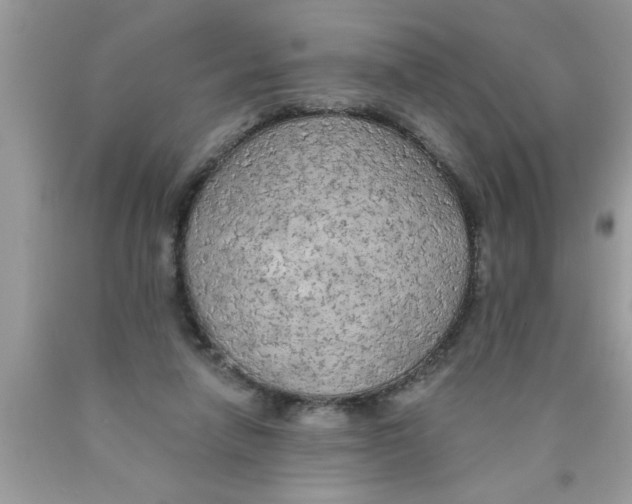 X0000089860258200707262134