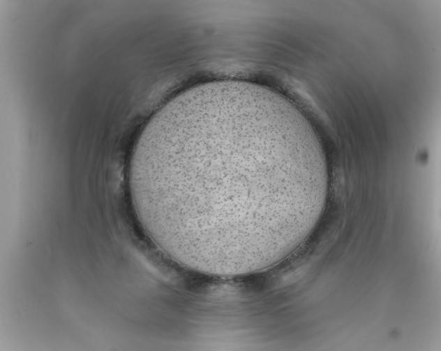 X0000089860259200707262134