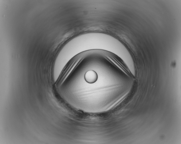 X0000089860260200707262134