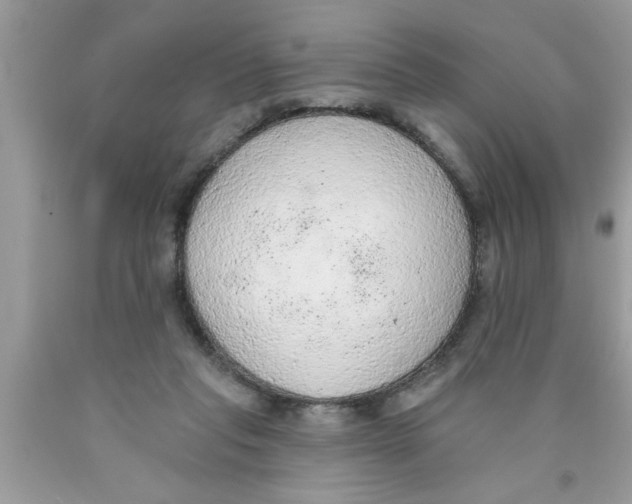 X0000089860261200707262134