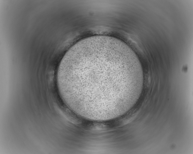 X0000089860263200707262134