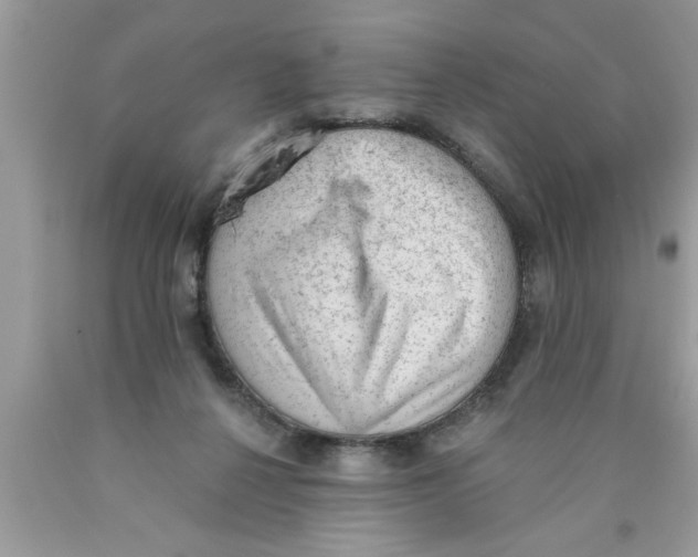 X0000089860264200707262134