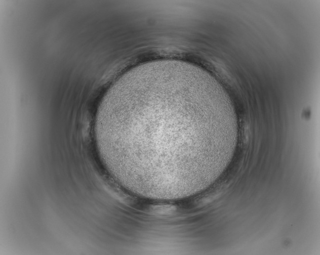 X0000089860266200707262134