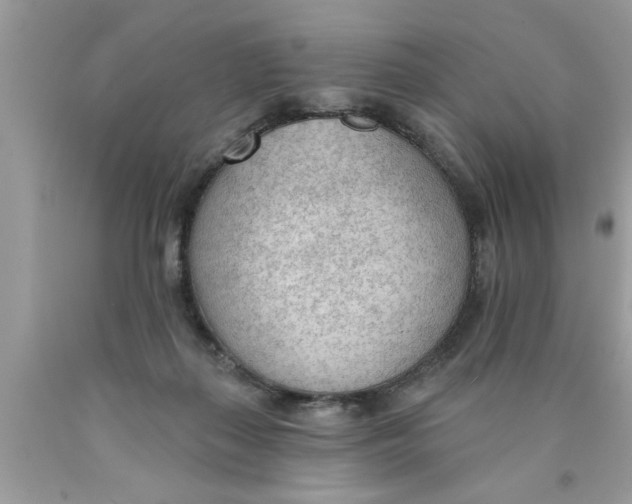 X0000089860267200707262134