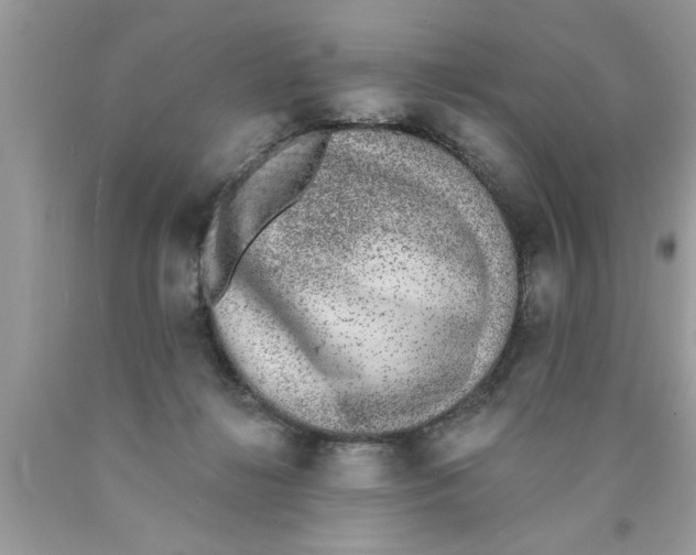 X0000089860268200707262134