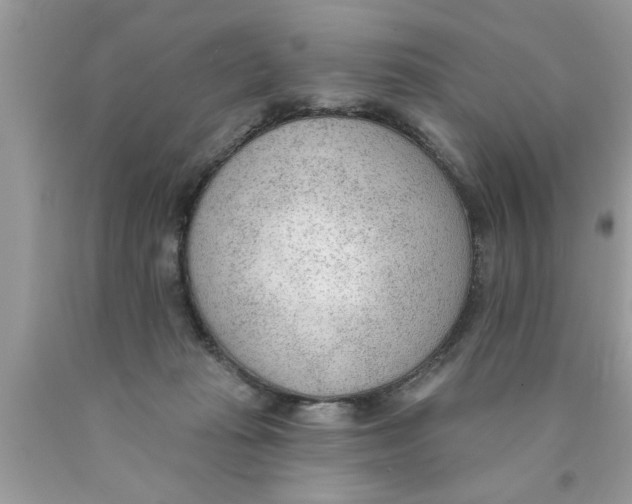 X0000089860269200707262134