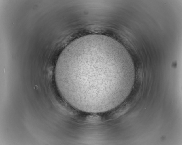 X0000089860271200707262134