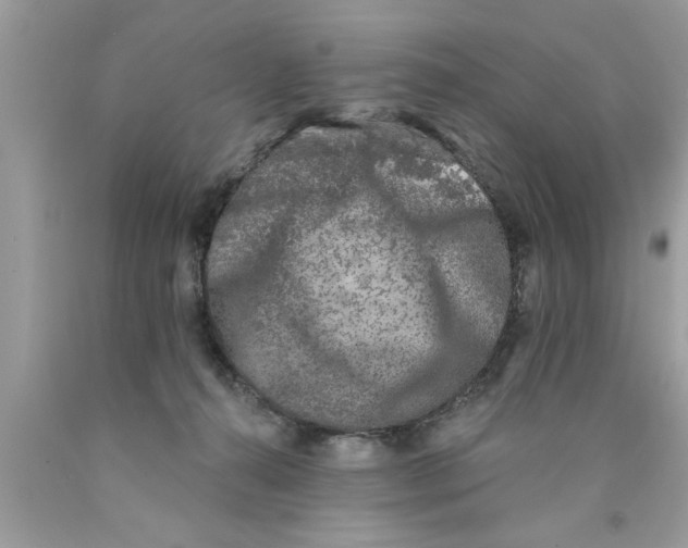 X0000089860272200707262134