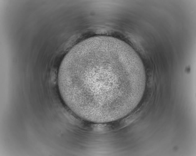 X0000089860273200707262134