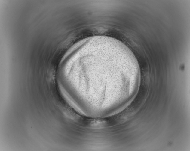 X0000089860274200707262134