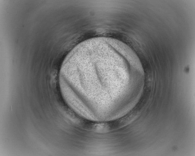 X0000089860275200707262134