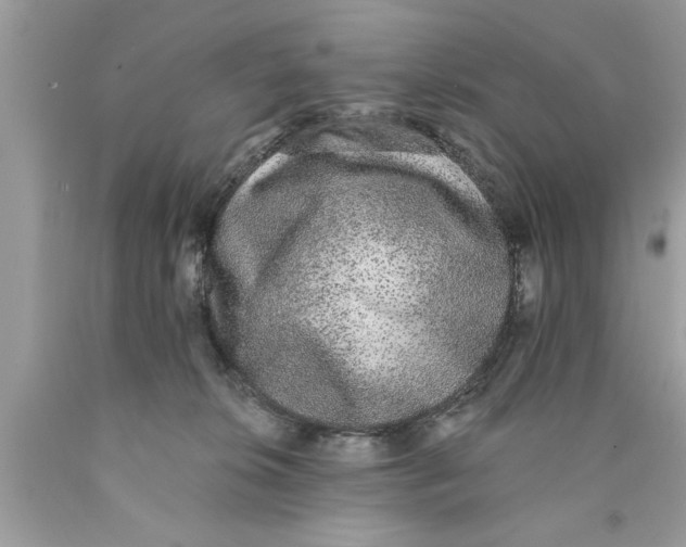 X0000089860276200707262134