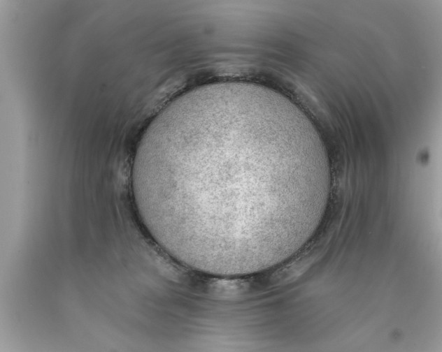 X0000089860277200707262134