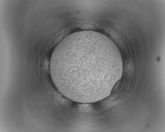 X0000089860281200707262134