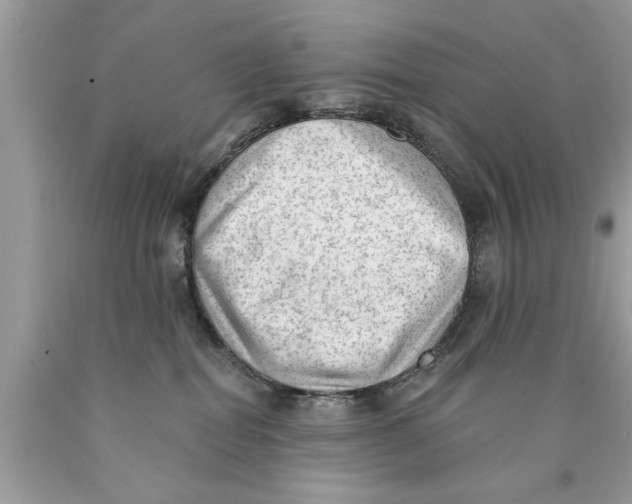 X0000089860282200707262134