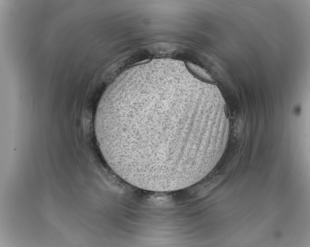 X0000089860283200707262134