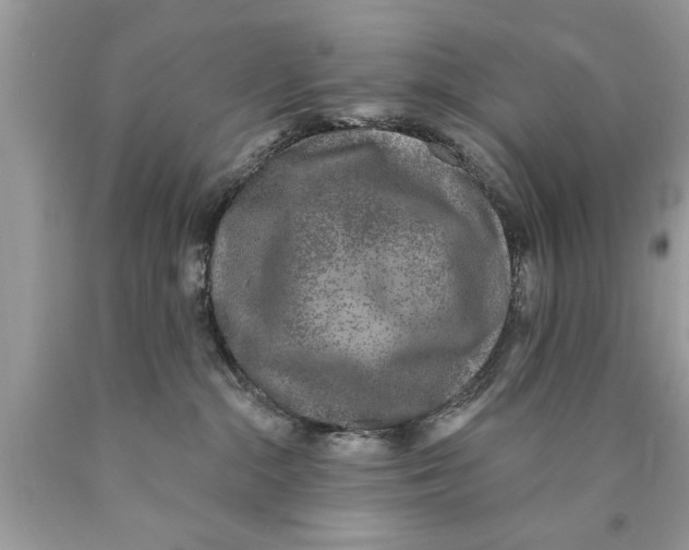 X0000089860284200707262134