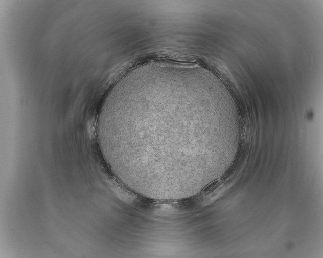 X0000089860285200707262134