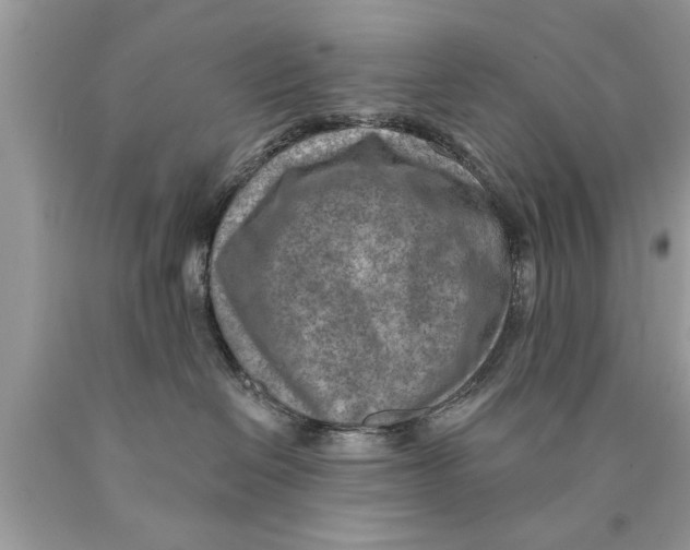 X0000089860286200707262134
