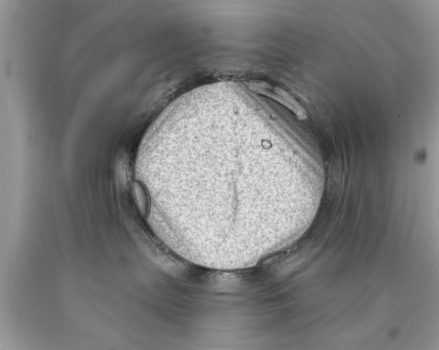 X0000089860287200707262134