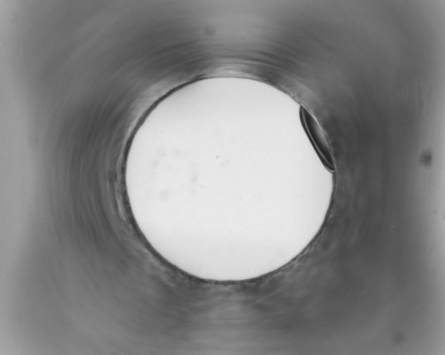 X0000089860289200707262134