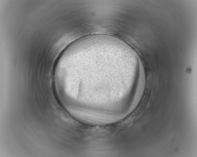 X0000089860290200707262134