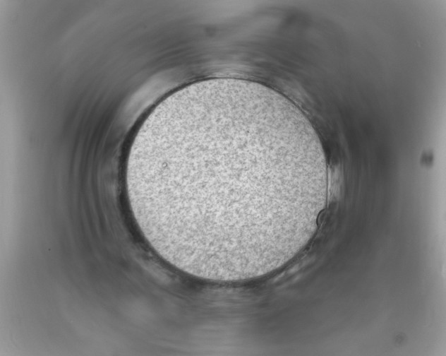 X0000089860291200707262134