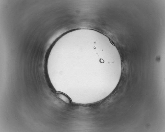 X0000089860292200707262134