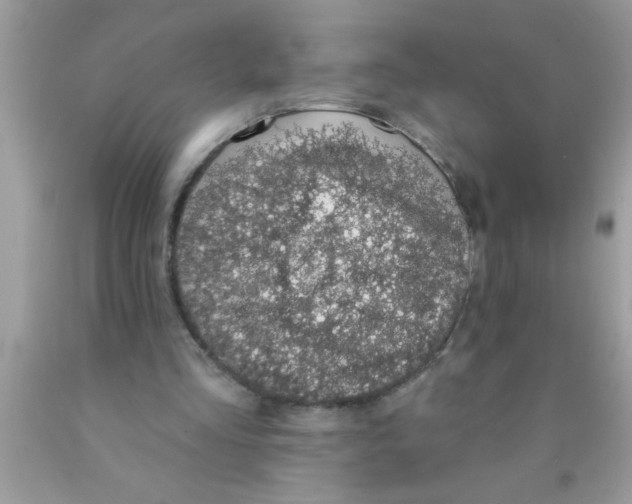 X0000089860293200707262134