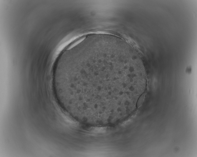 X0000089860295200707262134