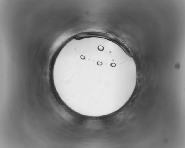 X0000089860296200707262134