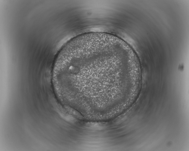 X0000089860297200707262134