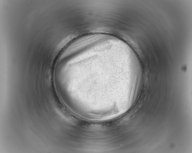 X0000089860298200707262134