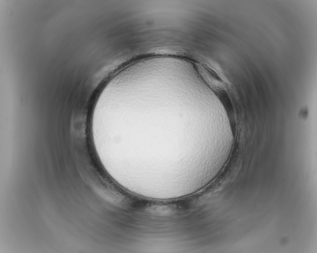 X0000089860299200707262134