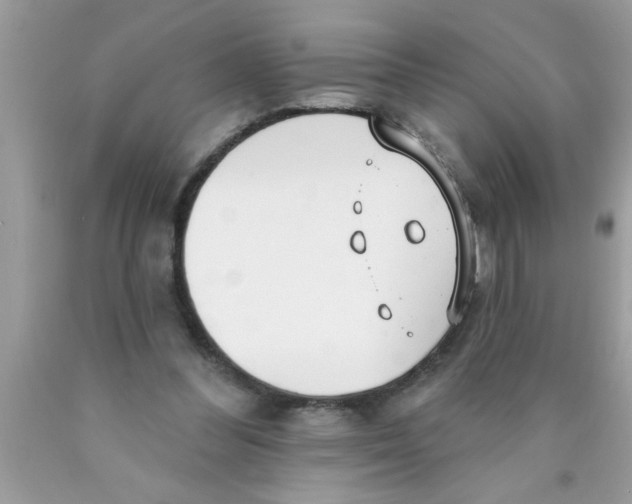 X0000089860300200707262134