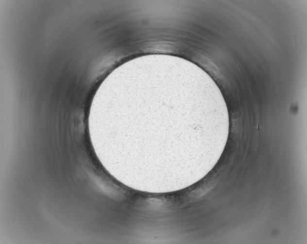 X0000089860302200707262134