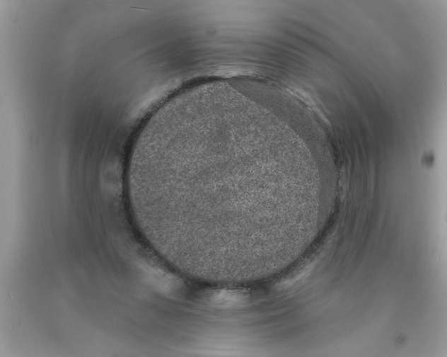 X0000089860303200707262134