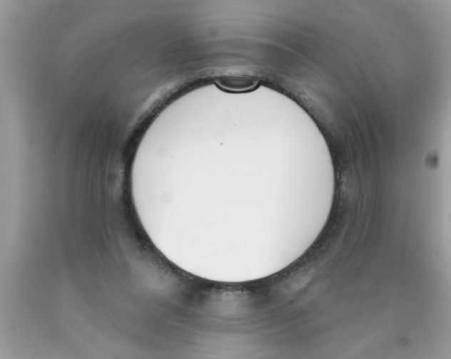 X0000089860304200707262133