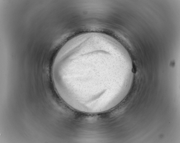 X0000089860306200707262133