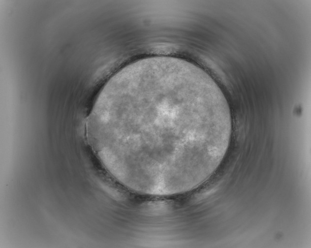 X0000089860307200707262133