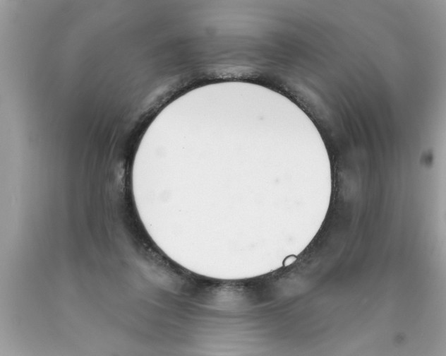 X0000089860308200707262133