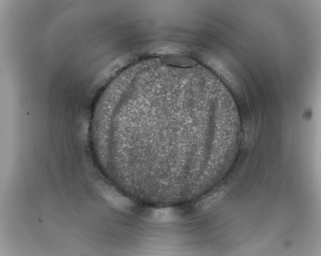X0000089860309200707262133