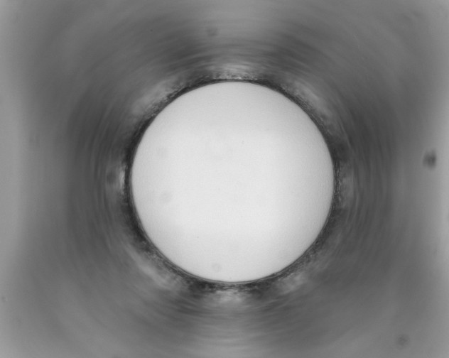 X0000089860310200707262133