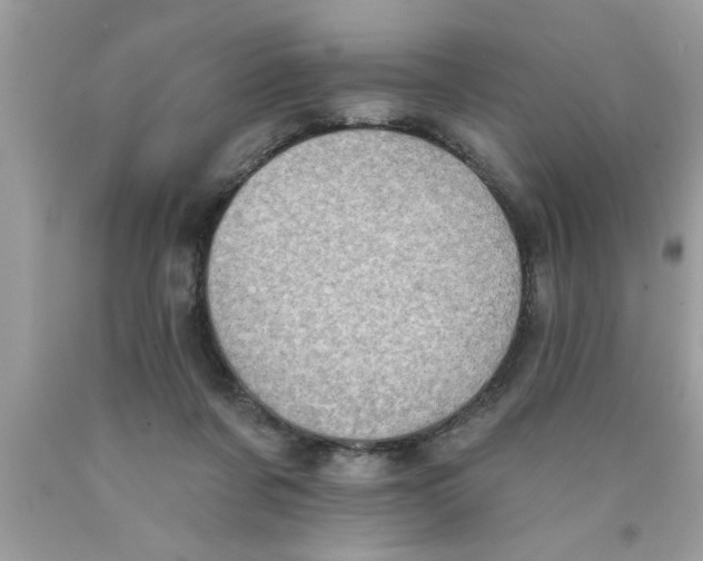 X0000089860311200707262133