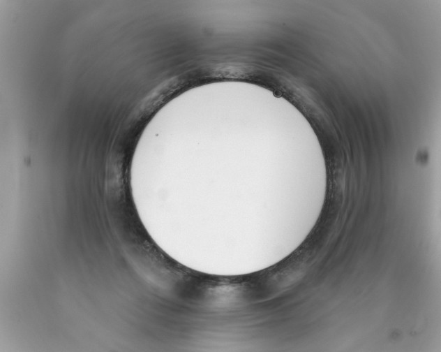 X0000089860312200707262133
